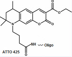 Bio-Synthesis Inc. Oligo Structure